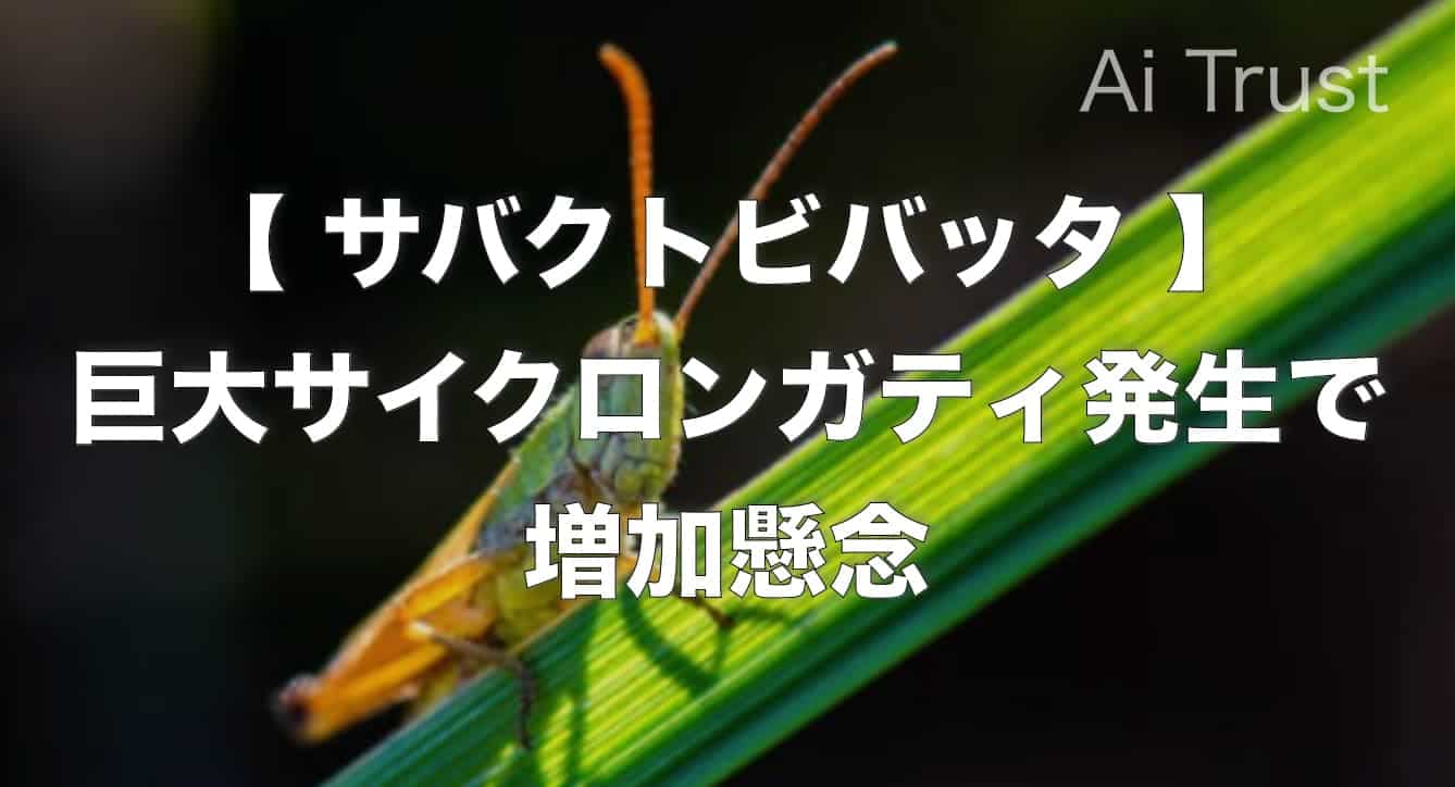 サバクトビバッタは終わらない 巨大サイクロンガティ発生で増加懸念 Ai Trust